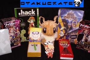 the otaku box figures