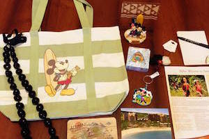 Disney Monthy Subscription Box