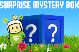GearXS Surprise Mystery Box