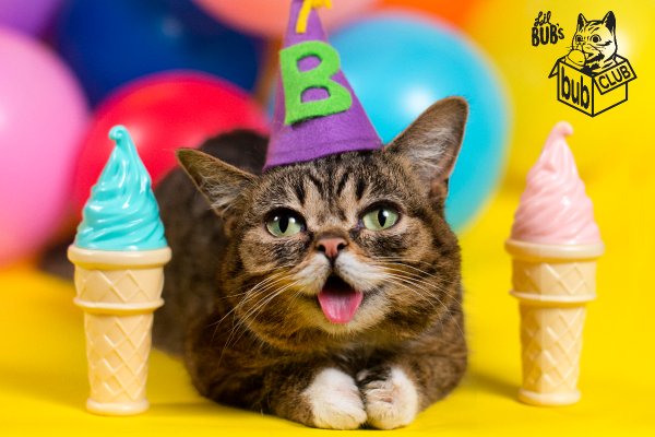 The Bub Club Sub Box