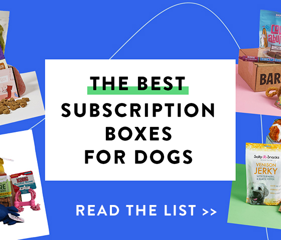 dog subscription box $10 dog subscription box $10