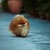Tumblr ofjnlalqkt1v7vab2o1 500