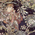 Alphonse mucha woman with a daisy