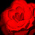 Red flower