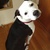 Mms 20130621